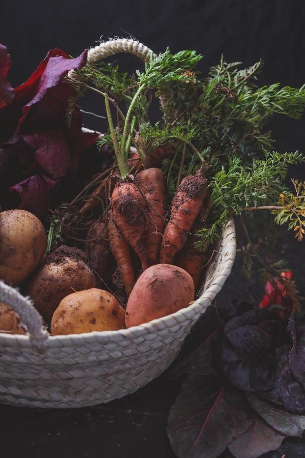Agriturismo Osteria Du Barba Pe' - Casa Cassini Bordighera Exteriér fotografie