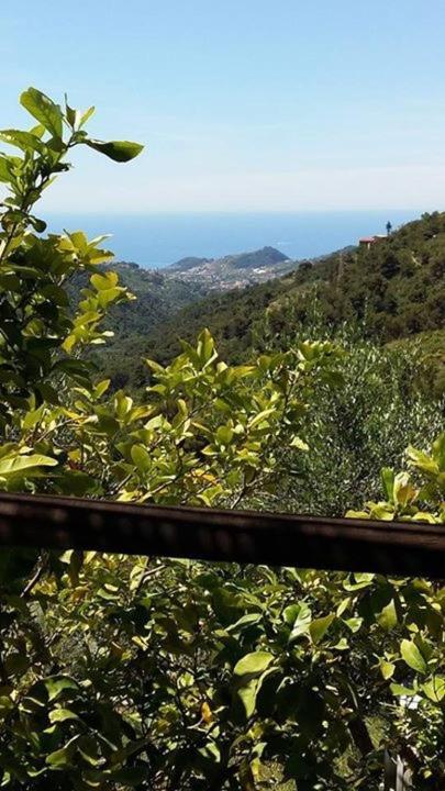 Agriturismo Osteria Du Barba Pe' - Casa Cassini Bordighera Exteriér fotografie