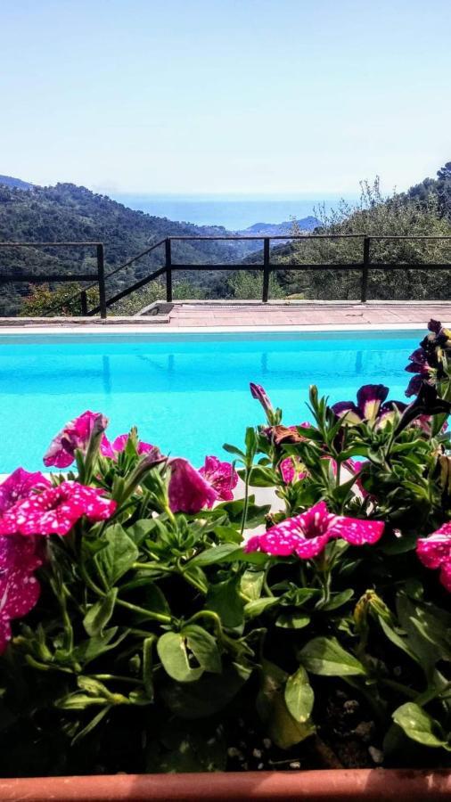 Agriturismo Osteria Du Barba Pe' - Casa Cassini Bordighera Exteriér fotografie